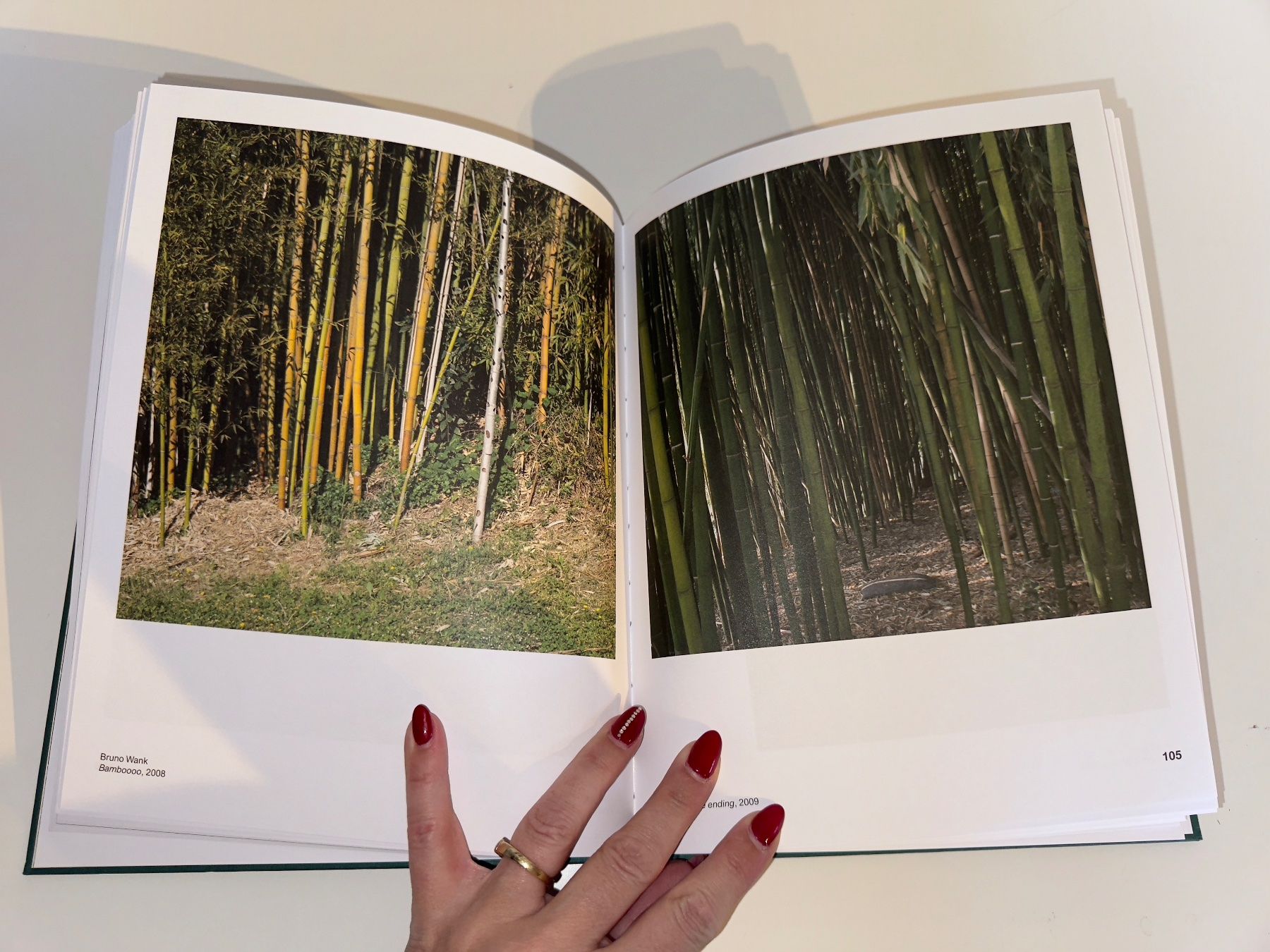 Bücher: BUCH: La Serpara – Gebraucht aus Grosswangen von Second_hand_paradise 5