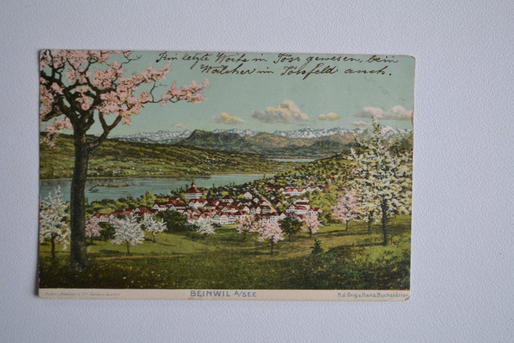 Cartoline postali: AK Beinwil am See – Usato da Beinwil am See venduto da kajak55