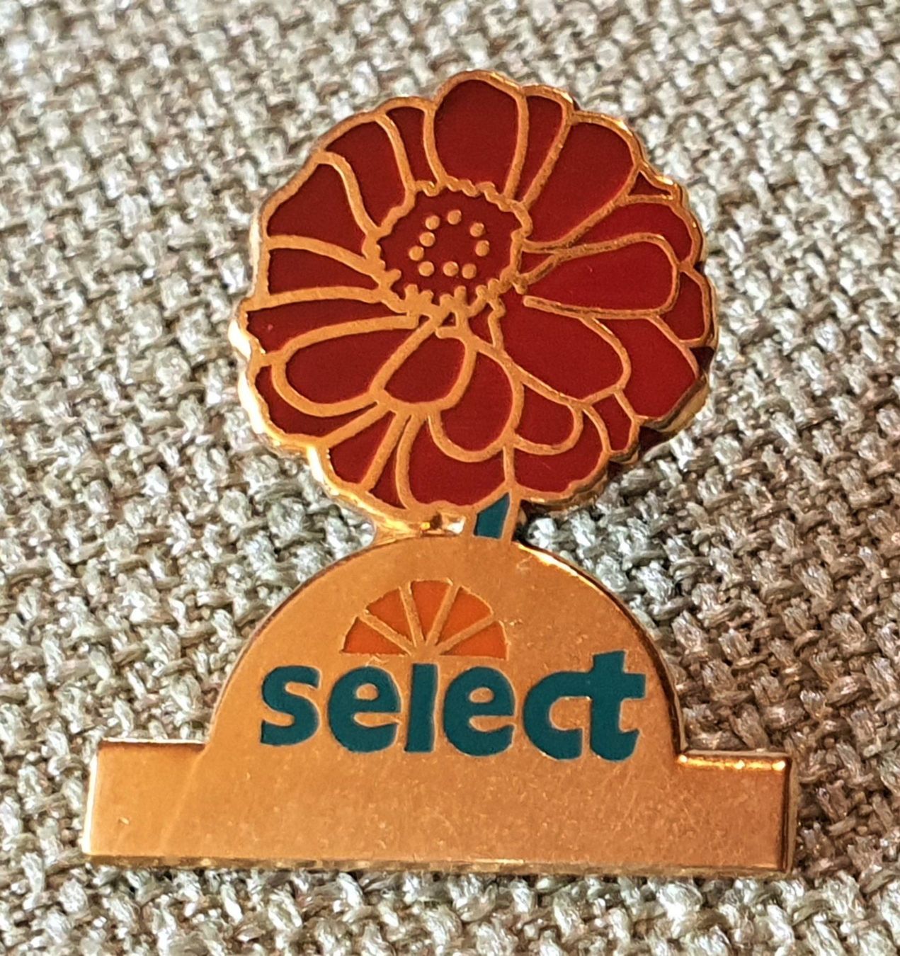 Spille & Fermagli: E823 - Pin Mondo - Select Blume – Usato da Reinach BL venduto da Boston-Verkauf