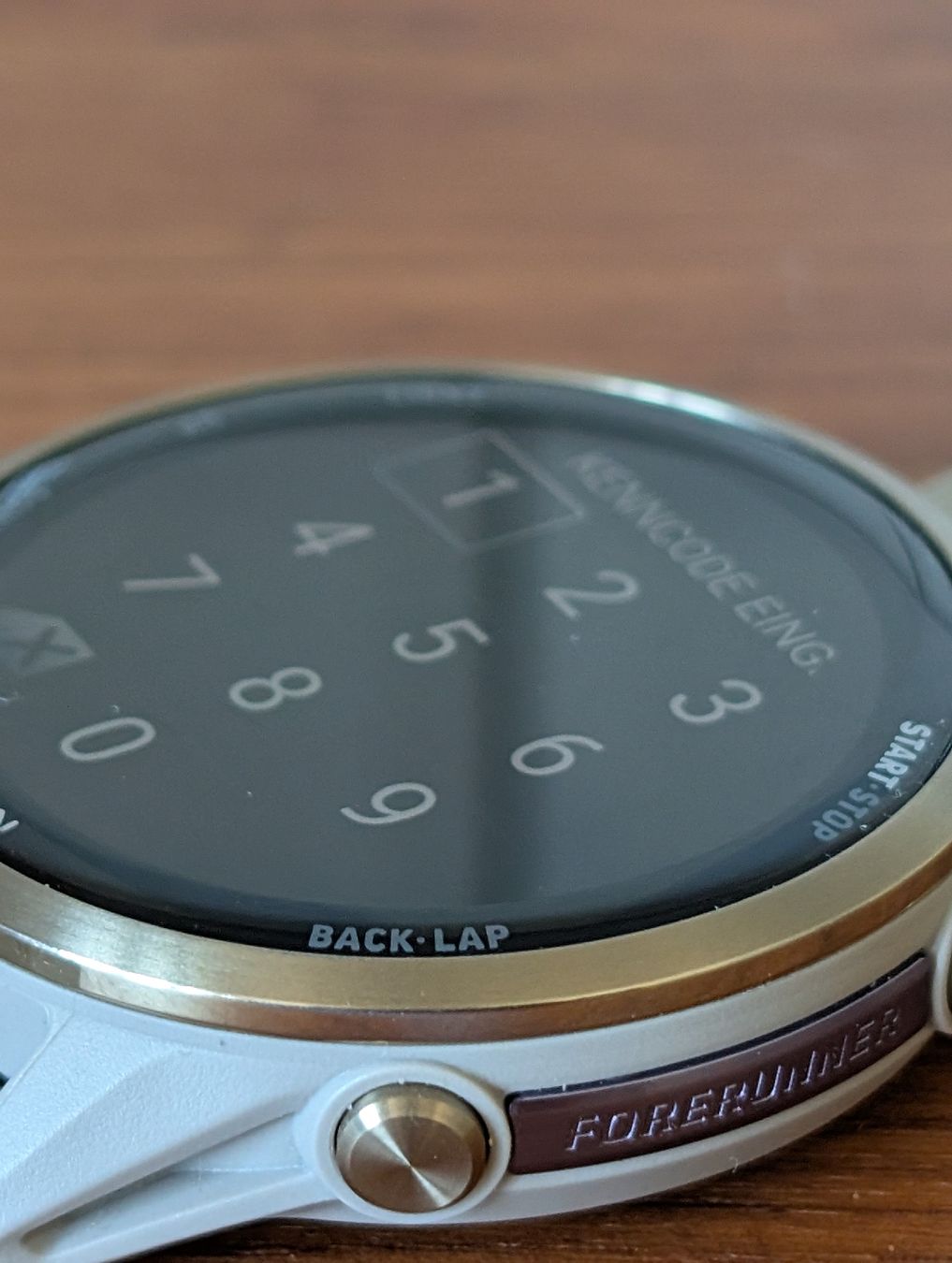 Garmin Smartwatch: Garmin Forerunner 970 mit Garantie bis Jan.2028 – Neu (gemäss Beschreibung) aus Mümliswil von Grizzly7 6