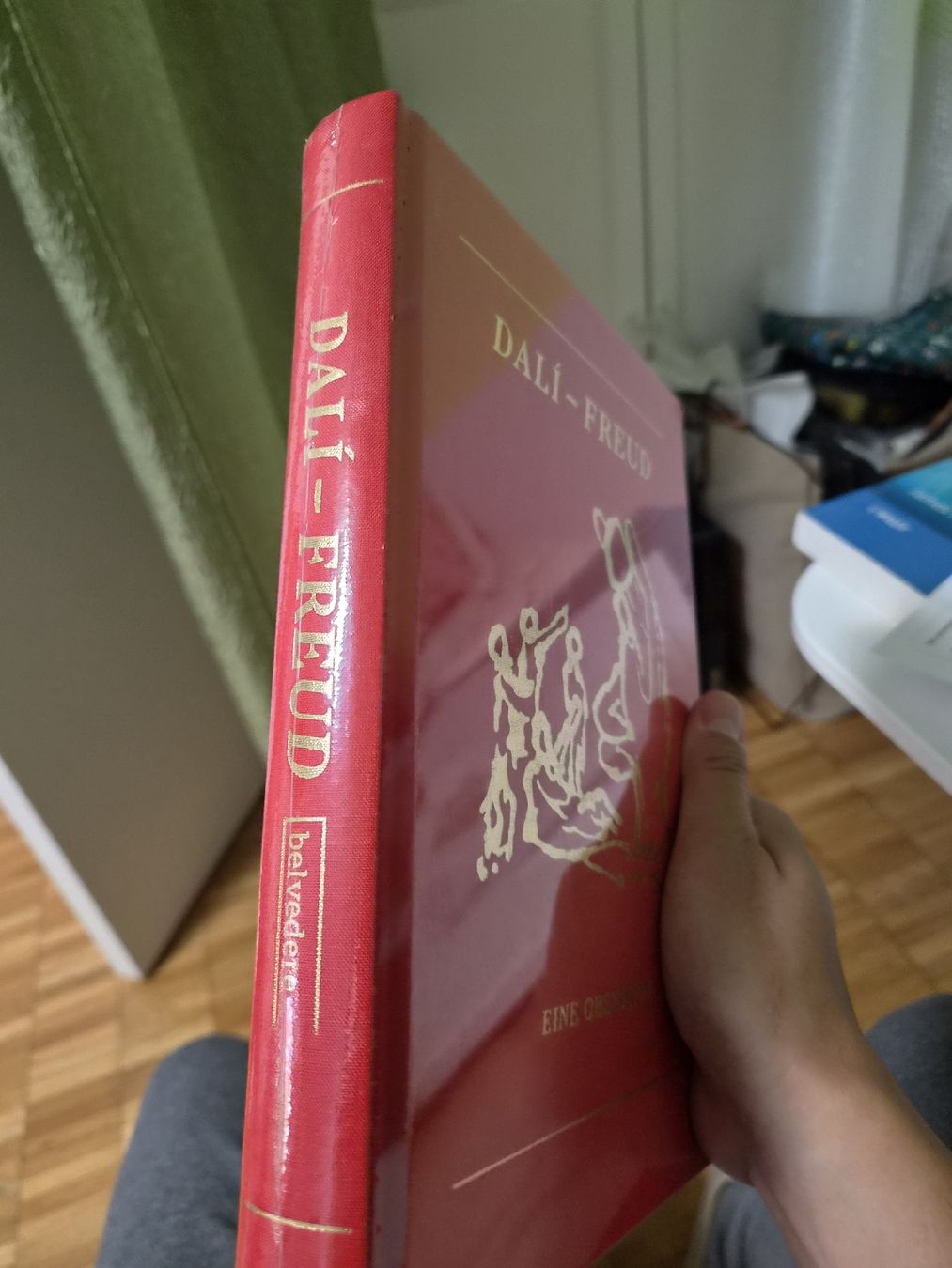 Bücher: Dali Freud Eine Obsession Buch Neuwertig – Neu und originalverpackt aus Bassersdorf von Sport_4_life 2