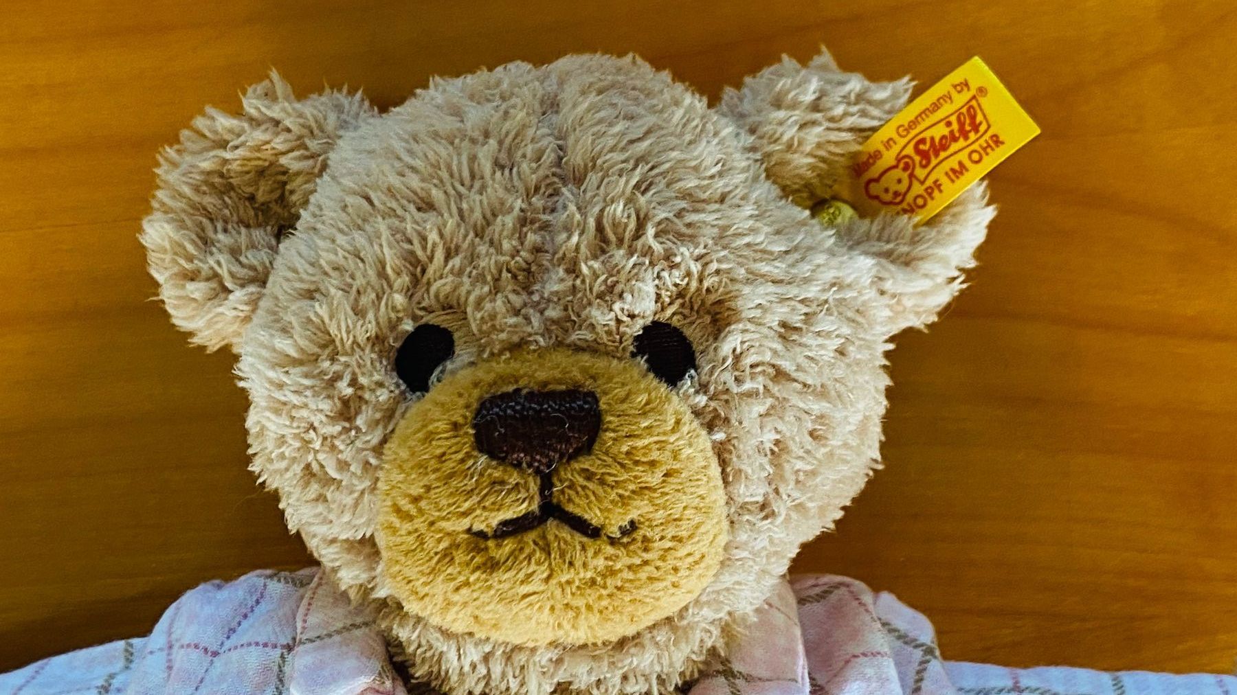 Steiff Giocattoli: Plüschiger Steiff Teddy im Schlafanzug – Usato da Fehraltorf venduto da akl_q6f5 2