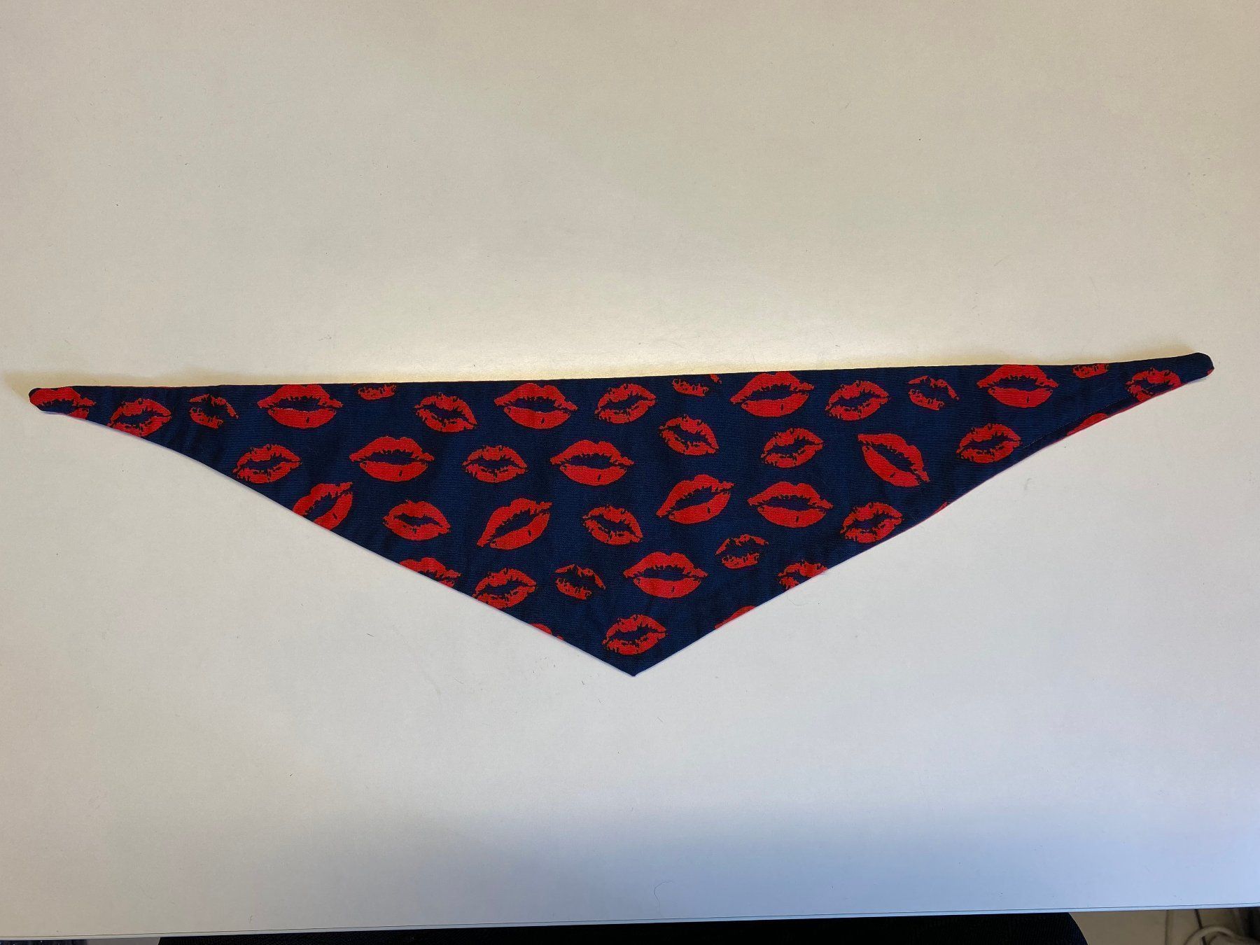 Foulard & Sciarpe: Halstuch Bandana kleiner Hund – Usato da Eschenbach SG venduto da Sums 3