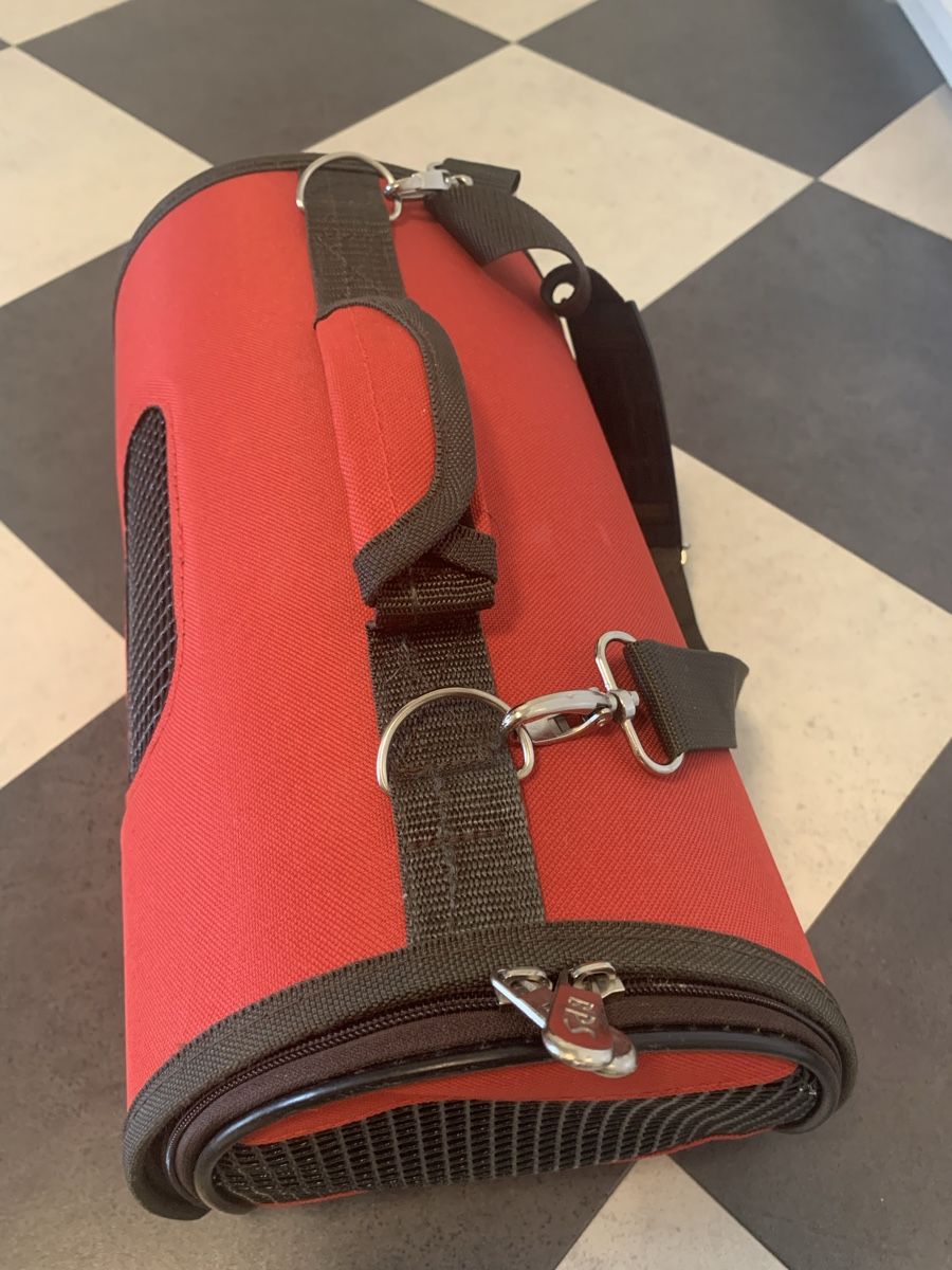 Gabbie, trasporto & Sicurezza: Transportbox für Haustiere – Usato da Luzern venduto da Boudin03 5