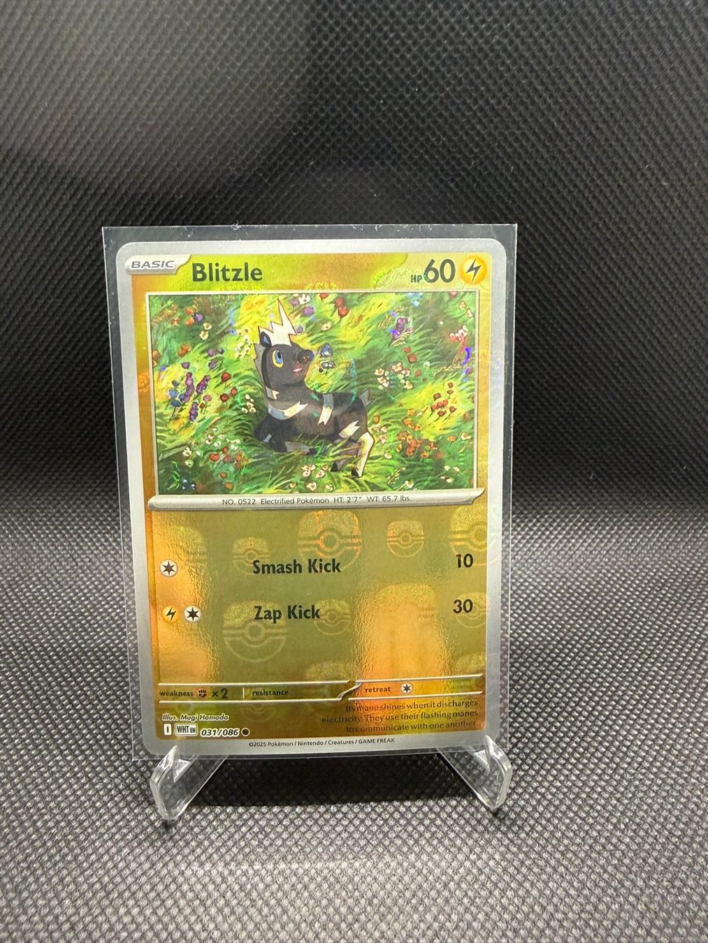 Pokémon Carte collezionabili: Pokemon White Flare Blitzle Masterball 031/086 – Usato da Horn venduto da Chilldone
