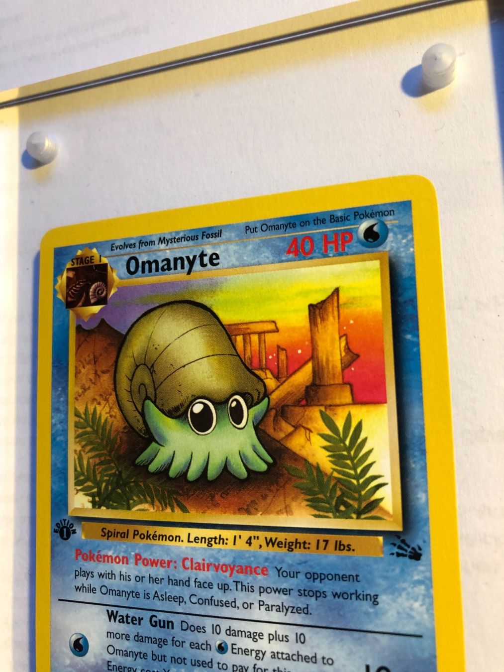 Carte collezionabili: Omanyte 1st Fossil - MINT - ab 1.- – Usato da Giubiasco venduto da dan_pr8b 3