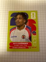 Panini Sticker WM 2026, HAI 4 Martin Experience