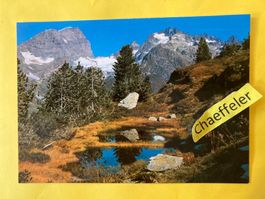 1982 Voralpen im Sustengebiet - Titlis und Fünffingerstöcke