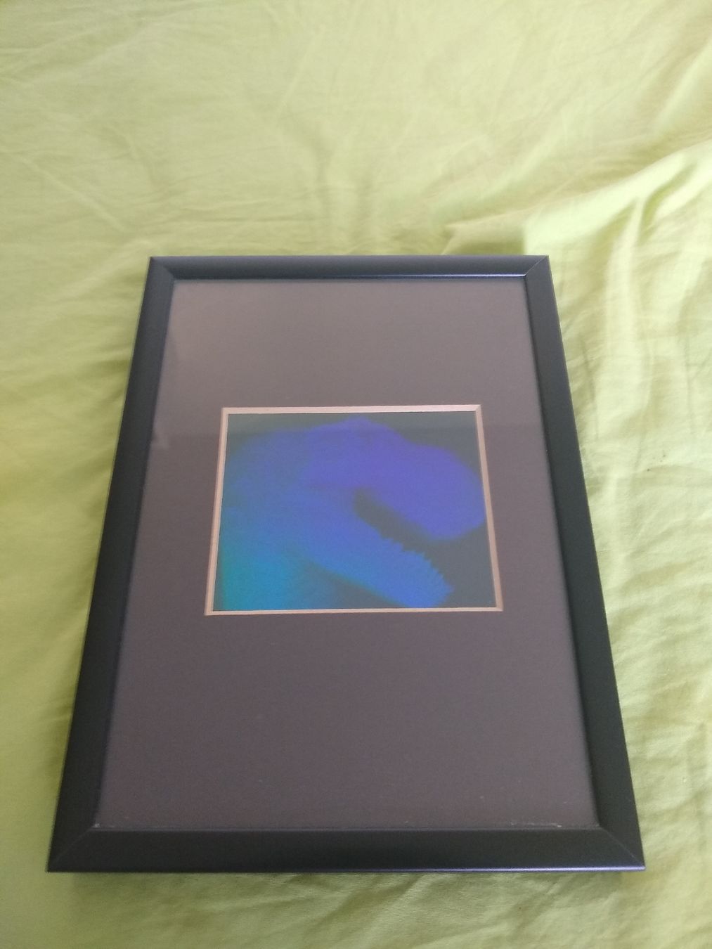 Alle Dekorationen: Dinausor frame picture – Gebraucht aus Dübendorf von LoRi-2026 1