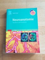Neuroanatomie – Struktur und Funktion