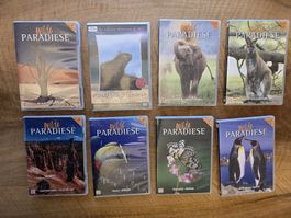DVDs Wilde Paradiese Time Life Dokumentationen Natur