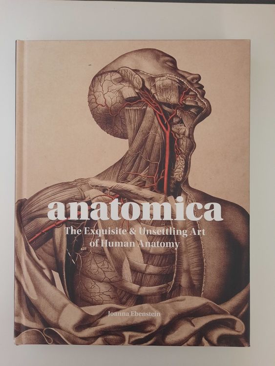 The Anatomy of a Viral Revelation