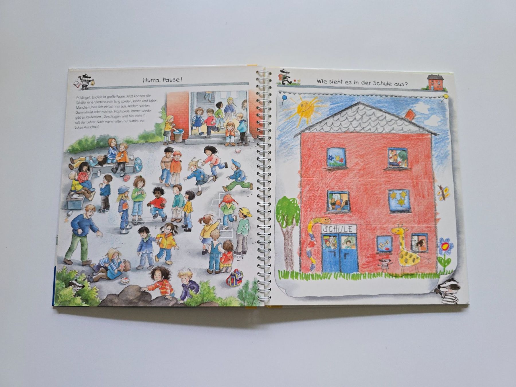 Libri: Buch Ich komme in die Schule – Usato da Dättlikon venduto da Wundertuete_ 2
