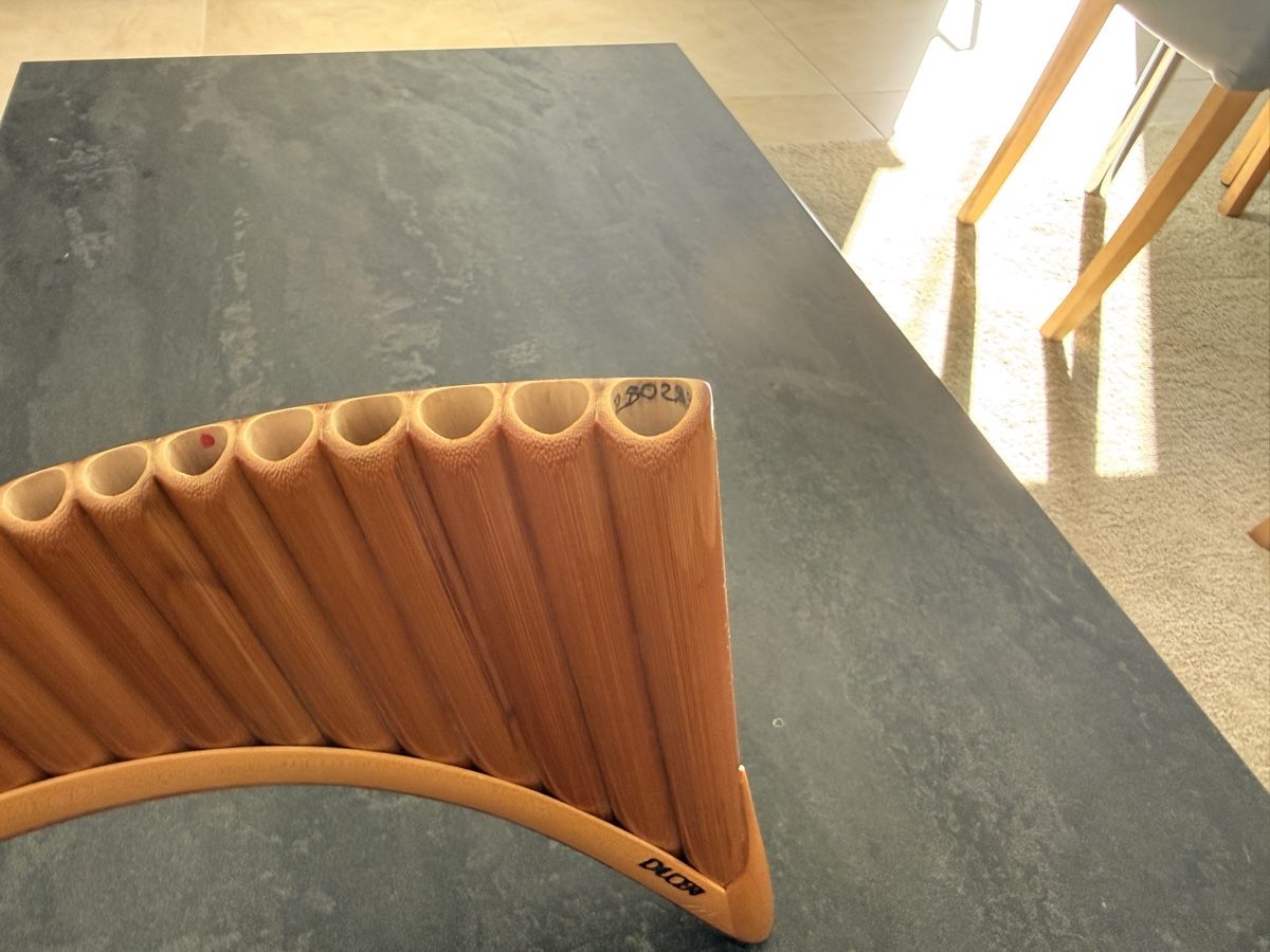 Musikinstrumente: Professionelle Panflöte – Gebraucht aus Pieterlen von cri_222x 3