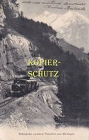 Brünig-Bahn zwischen Passhöhe und Meiringen (belebt) /az