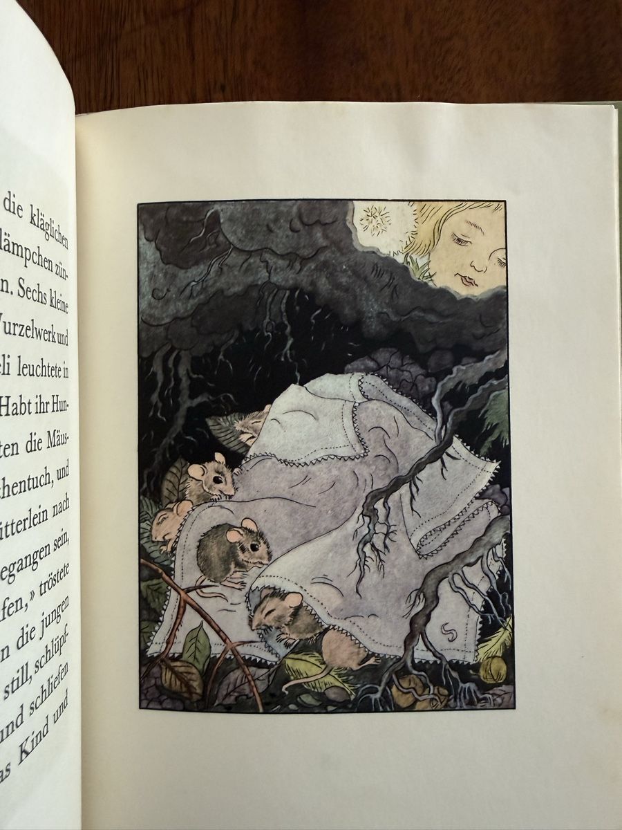 Libri: Silvelis Wunderlämpchen, Hedwig Thoma, Kinderbuch, 1941 – Usato da Weisslingen venduto da Jannaki 4