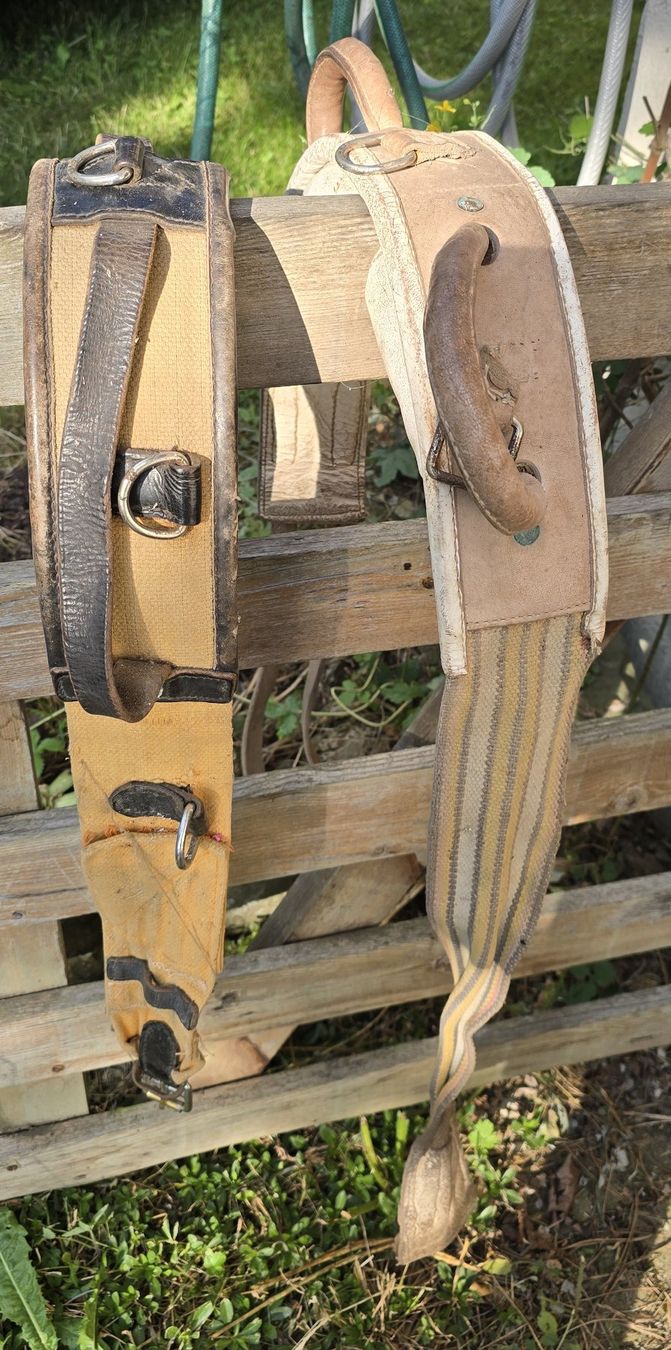 Sport dell'aria & Aquiloni: Selettengeschirr Leder Textil für Zwergesel oder Ponys – Usato da Agasul venduto da ire_h9wl