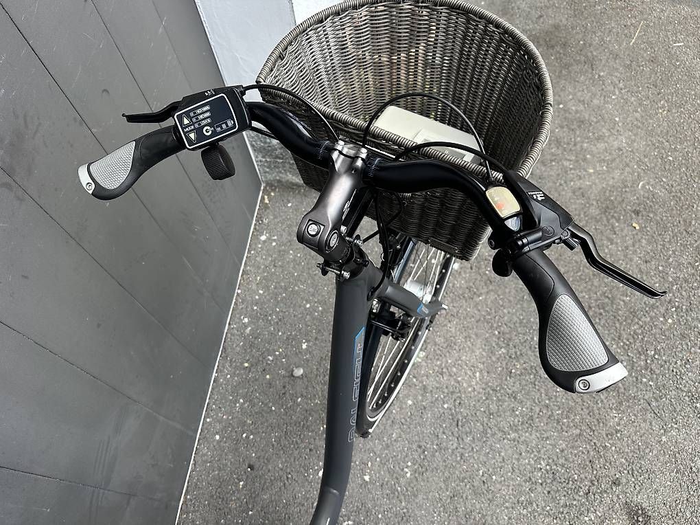 Velos: Bicicletta elettrica Raleigh 28  – Gebraucht aus Quartino von DiloUsato 4