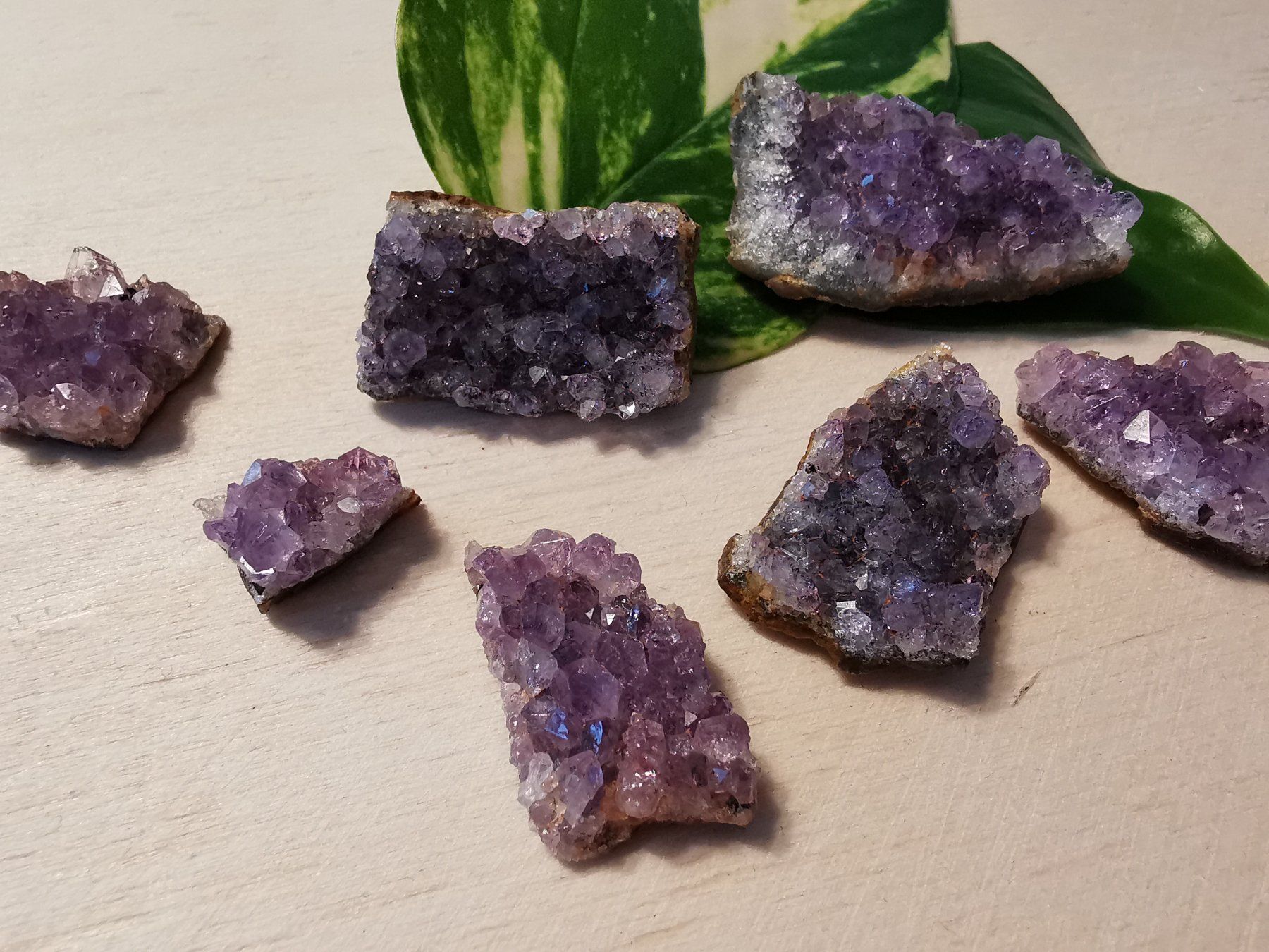Minerali & Pietre curative: 7 kleine Amethyst Drusen Stücke – Nuovo e nell'imballaggio originale da Dierikon venduto da Buntspecht-10 6