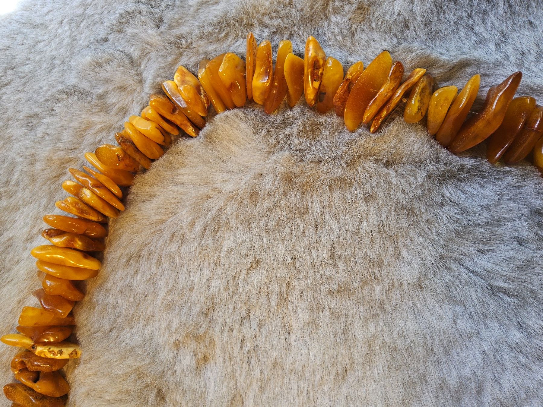 Catenine: Grosse dicke Bernstein Butterscotch Halskette Collier – Usato da Zürich venduto da SciTec 7