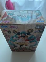 Hatsune miku figur geöffnet