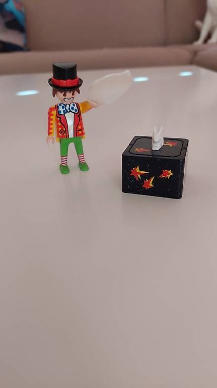 Playmobil Giocattoli: Diverses Playmobil – Usato da Lohn SH venduto da Zwierbel 1
