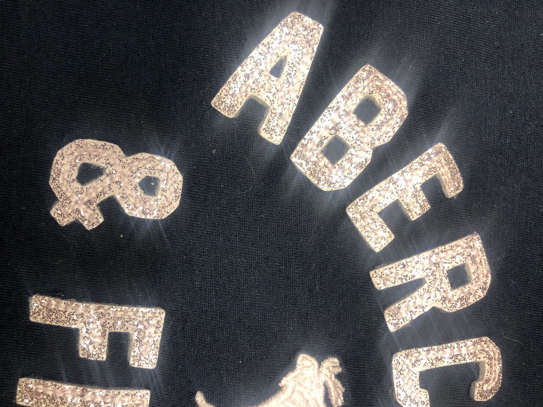 Pulls et sweat-shirts: Shirt Abercrombie Kids – D'occasion à Wichtrach par henzmann1 1