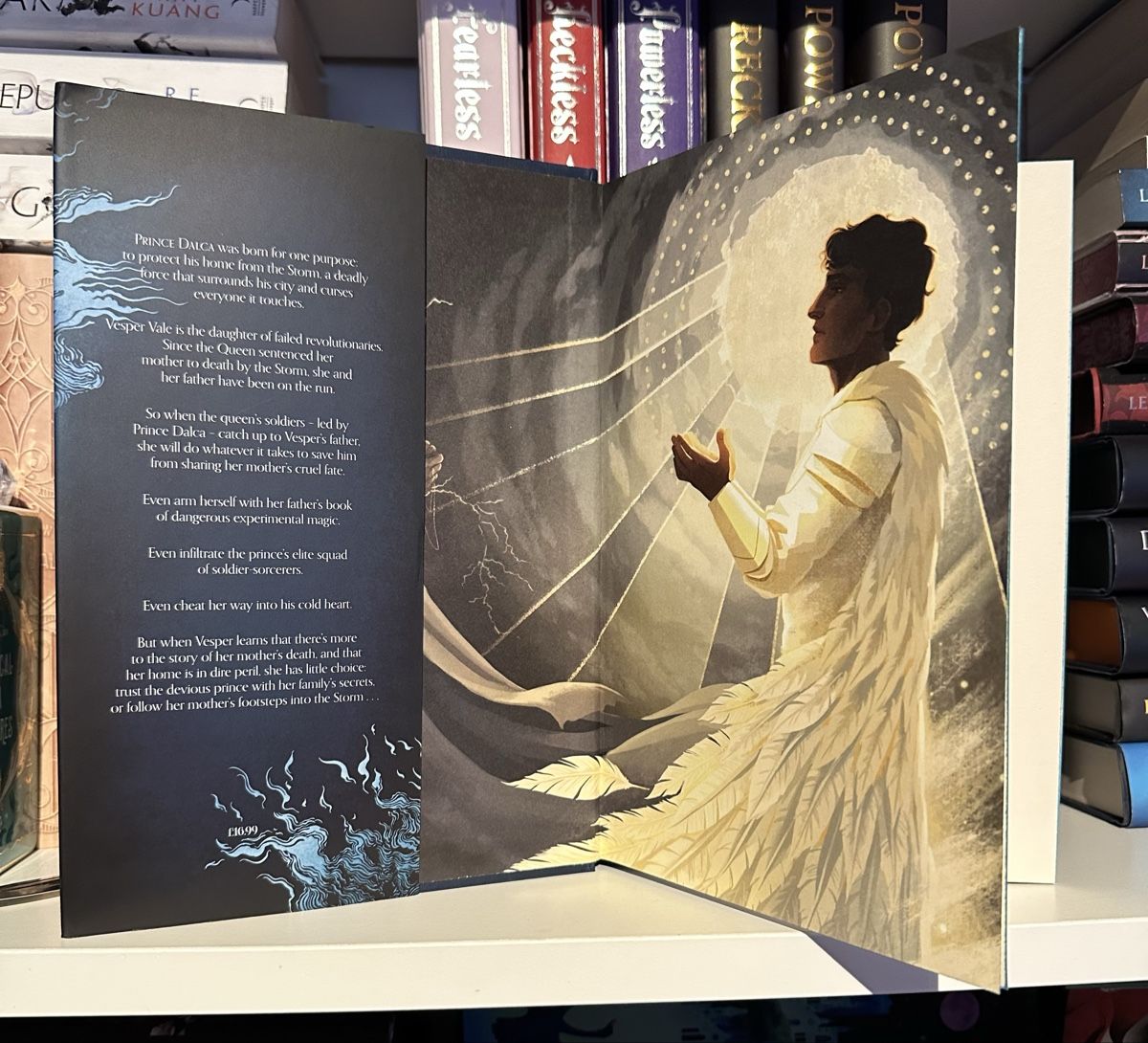 Libri: The Darkening / The Lightstruck Set Fairyloot – Usato da Chur venduto da cav_qqm5 2