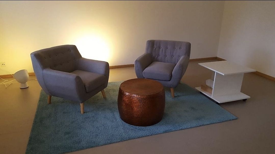 Poltrone: Sessel Set 2 Stk. hellgrau – Usato da Affoltern am Albis venduto da Feather
