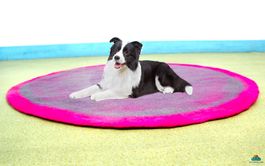 Filzmatte für Hunde & Katzen — 90 × 1 cm, handgearbeitet