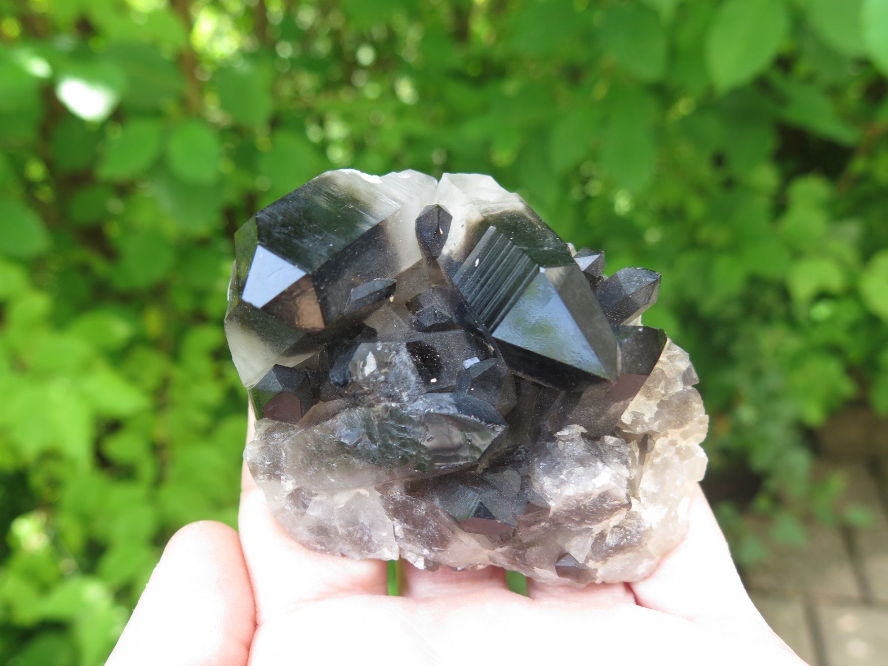Mineralien & Heilsteine: Rauchquarz "Morion" von USA – Gebraucht aus Schaffhausen von Yamakana51L8736OQ8 8