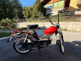 Vends Cilo pony 521 cross