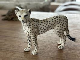 Schleich Gepard Sammelfigur