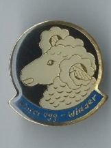 Placchette & Badge: Pin - Wunderschöner Widder Kopf! – Usato da Zürich venduto da t24_de