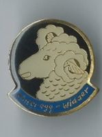 Pin - Wunderschöner Widder Kopf!