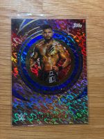Topps Universe WWE Berto /175