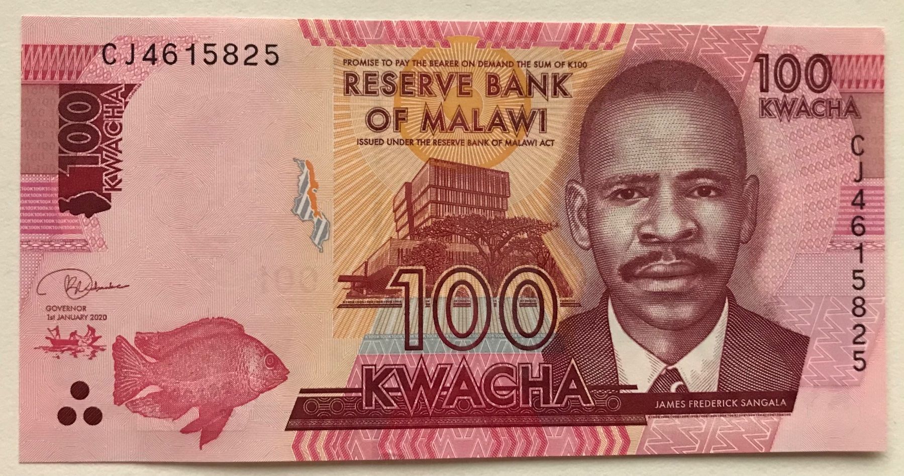 Banconote: Malawi 100 Kwacha 2020 Neuwertig – Nuovo (secondo la descrizione) da Algetshausen venduto da Carrhard