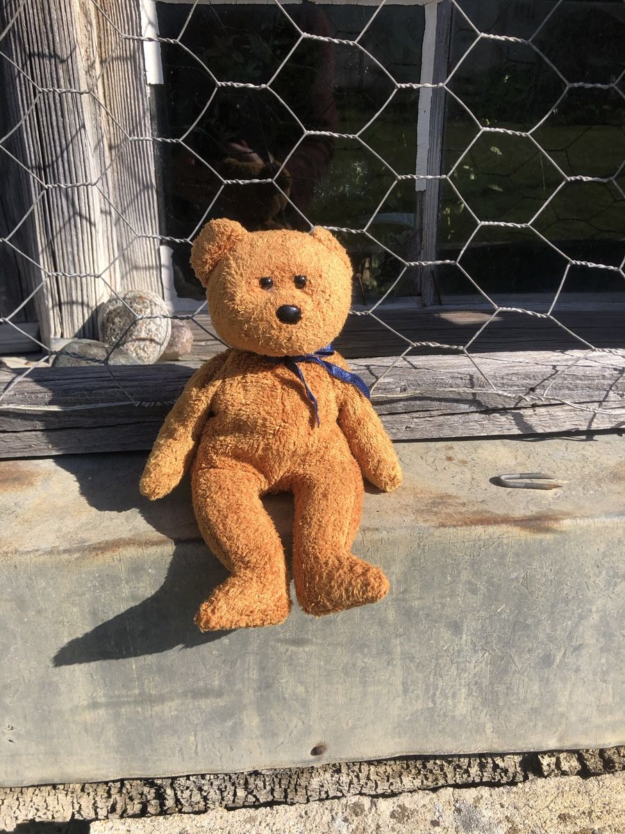 Giocattoli: Fuzy Teddybär – Usato da Volken venduto da SavitaIndia 1