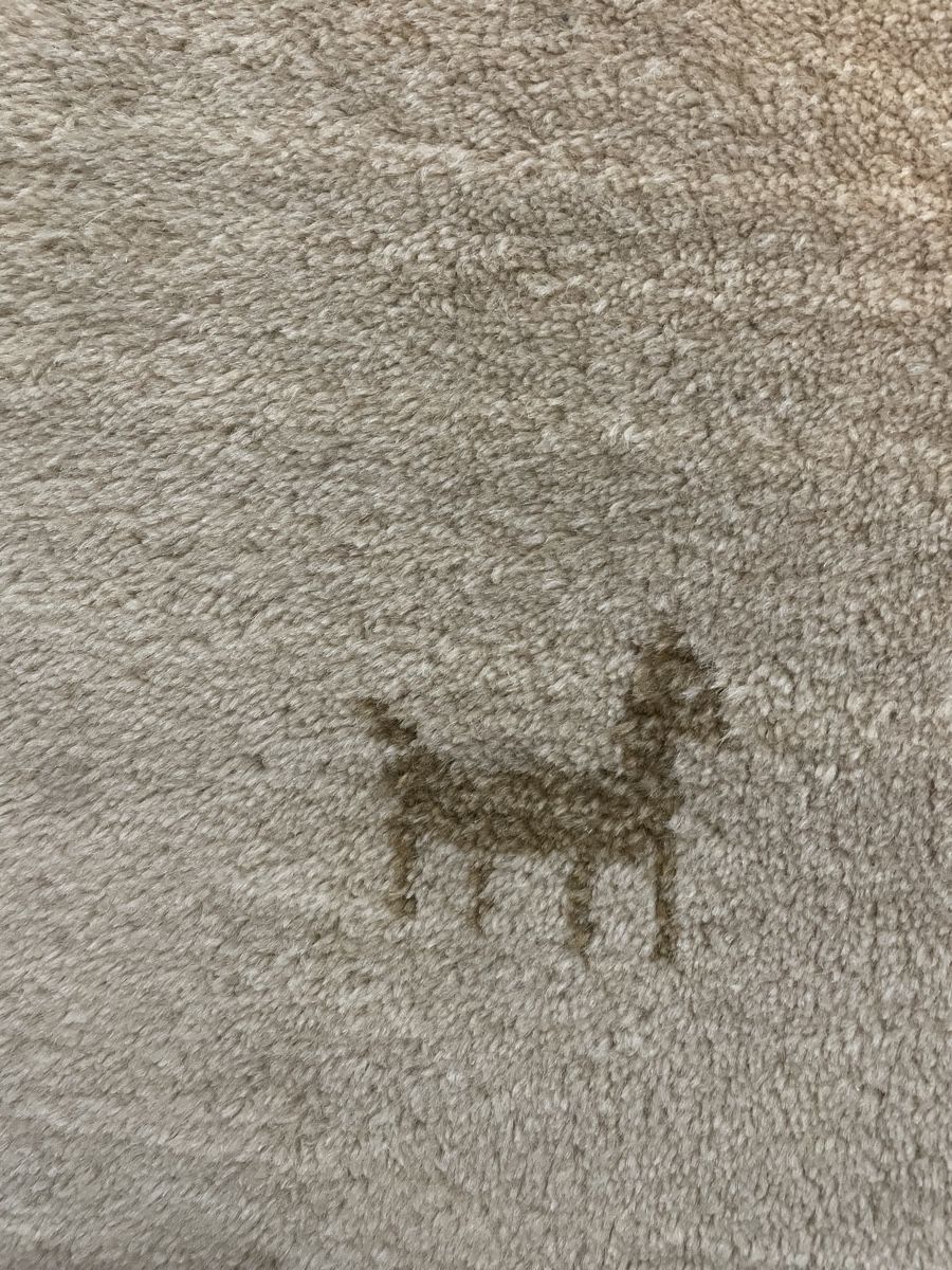 Tapis: Gabbeh teppich – D'occasion à Reinach BL par mir_x9l9 2