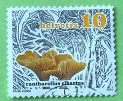 Nr.1503 Dauermarken Pilze GESTEMPELT 2014   ﻿