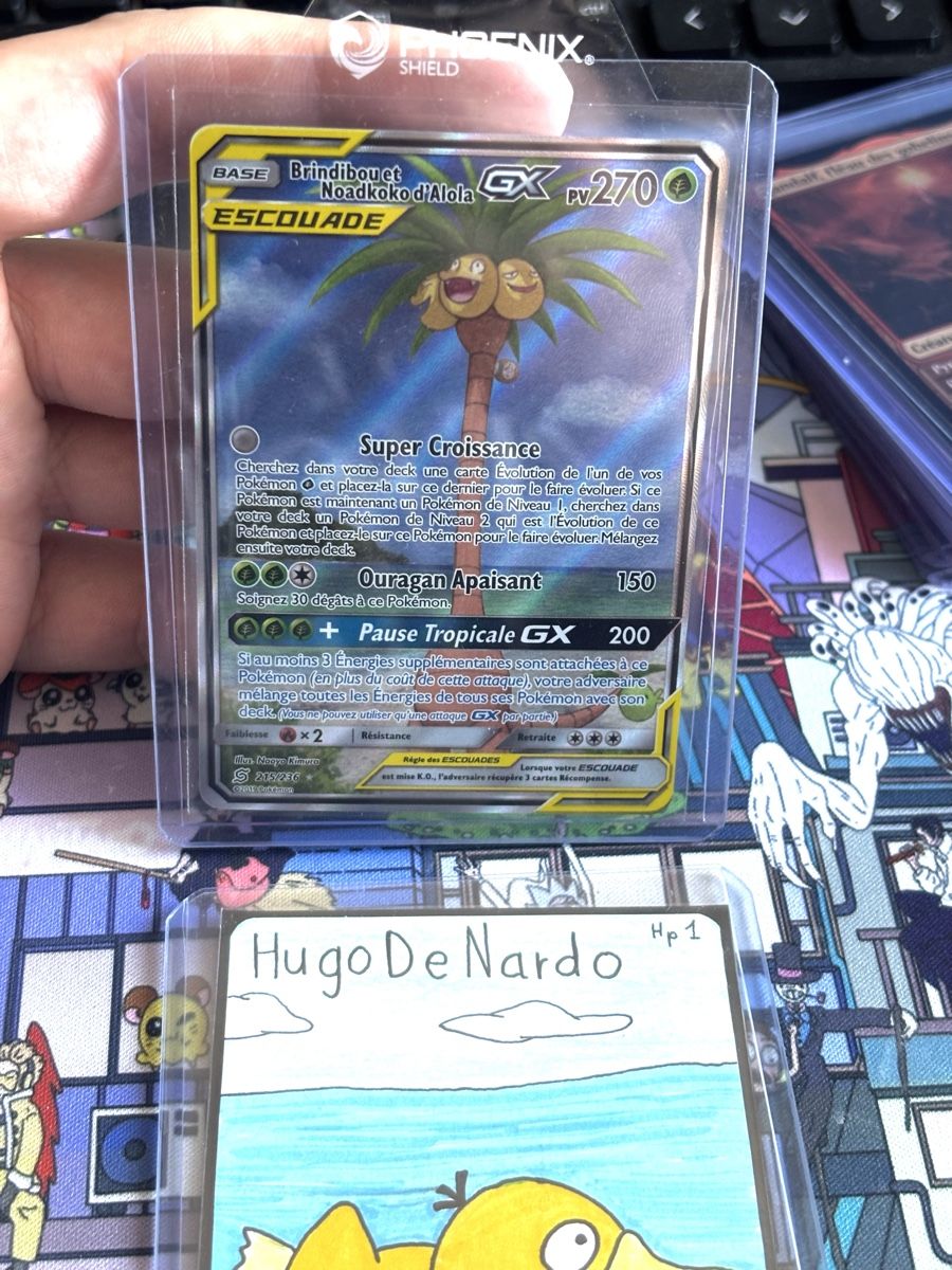 Pokémon Sammelbilder & Trading cards: Noadkoko et Brindibou GX alt FR – Neu (gemäss Beschreibung) aus Puplinge von Collection_Pokepi
