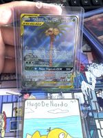 Noadkoko et Brindibou GX alt FR