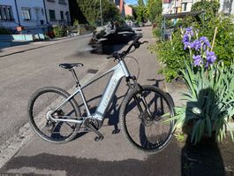 🚲 Whistle Matro AP500 e-MTB 29” – Grösse 45 – wie neu