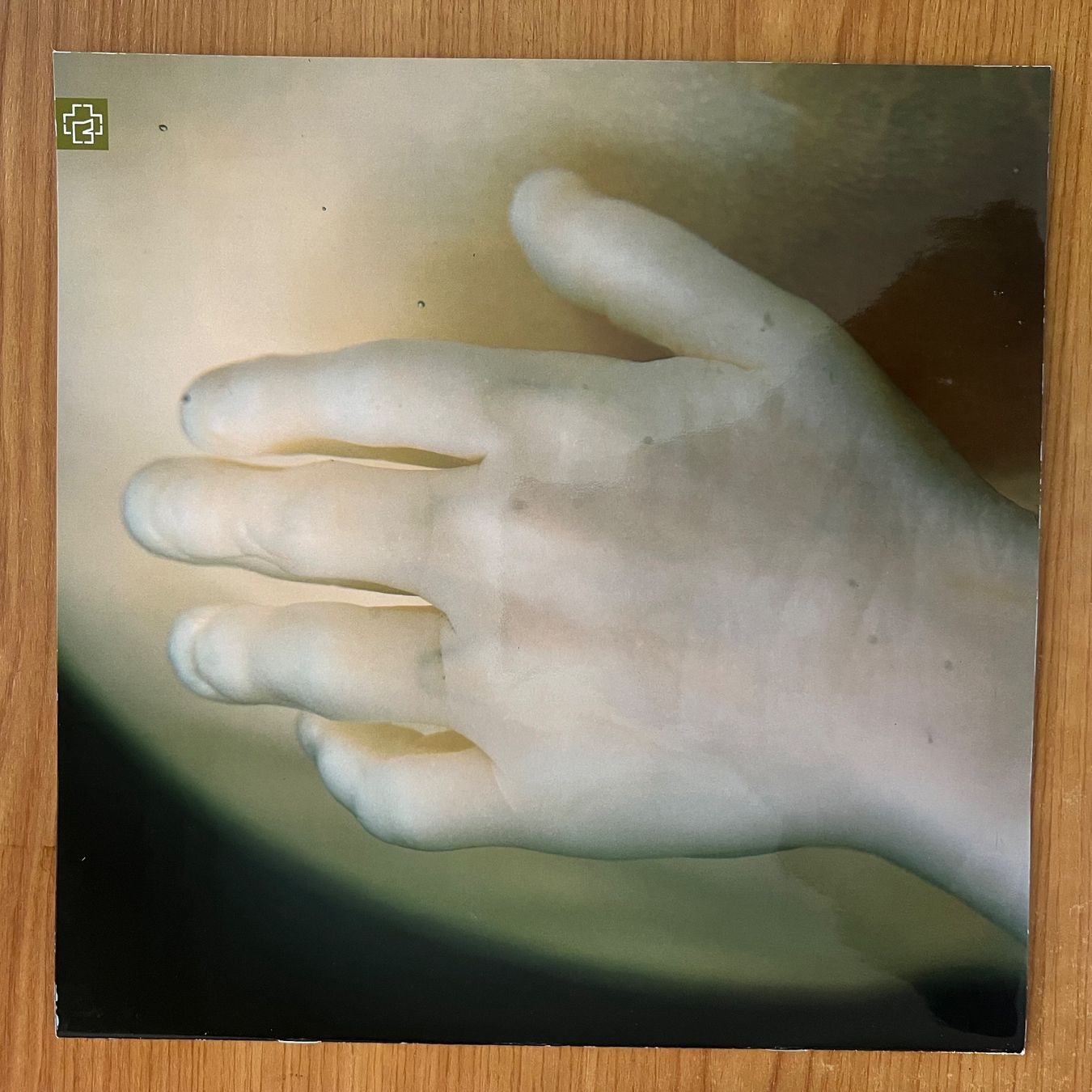 Vinyles: Rammstein - Mutter / 1. EU-Press. 2001 - TOP condition – D'occasion à Gais par soundcave57 2