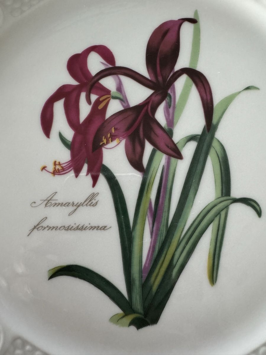 Teller: Sammelteller Amaryllis, Limitierte Auflage 1984 – Gebraucht aus Lanzenhäusern von Galaa 4