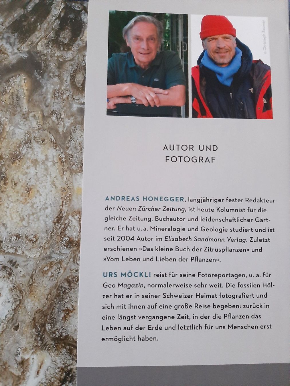 Libri: Das Gedächtnis der Bäume – Nuovo (secondo la descrizione) da Wünnewil venduto da Bear78 2