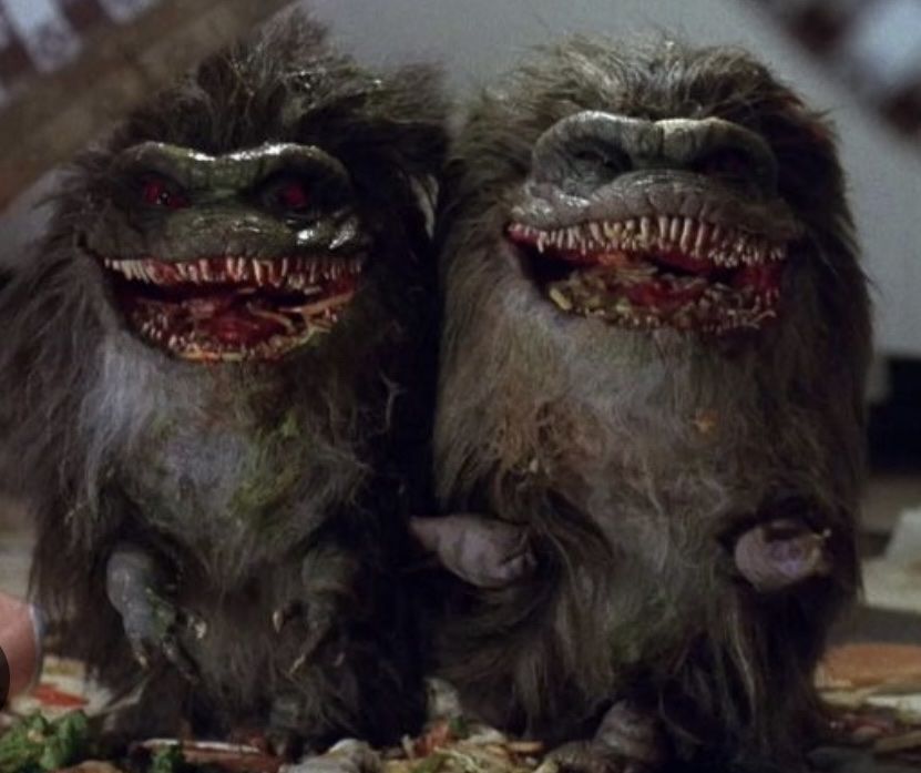Statuette: 1:1 Critters Puppe lifesize Horror not Sideshow Horror – Usato da Schlieren venduto da Moviepropde 6