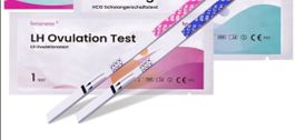 5 ovulationstest + 1 Schwangerschaftstes
