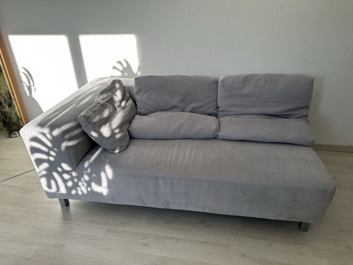 Divani: Bullfrog Design Sofa 165 X 96cm – Usato da Itingen venduto da Aposelecta1