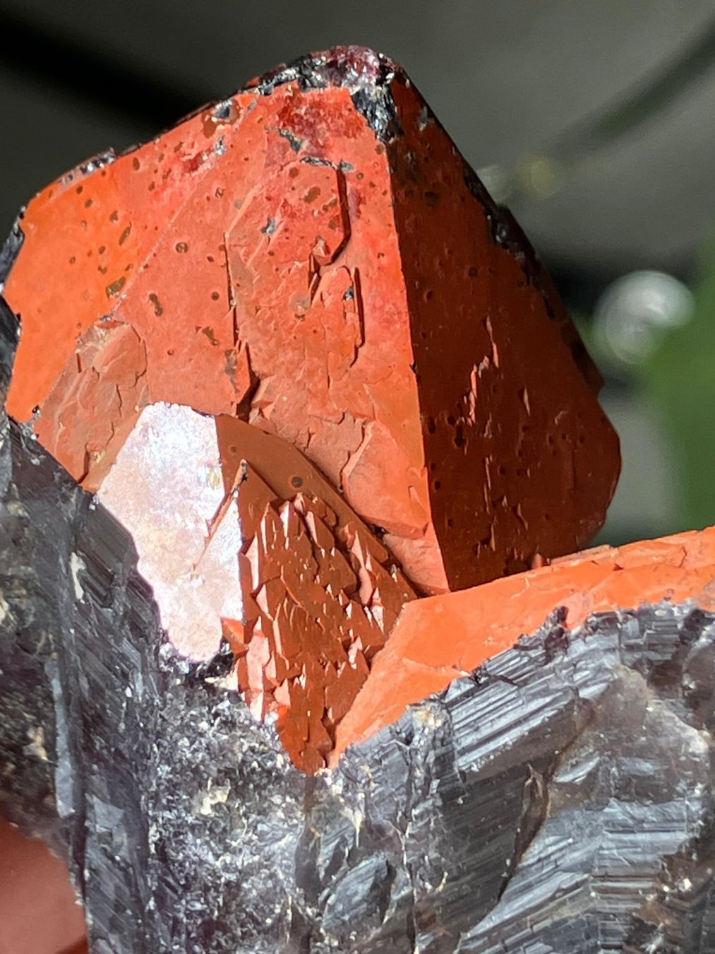 Edelsteine: Thunder Bay Amethyst – Neu (gemäss Beschreibung) aus Neuheim von m.hald 2